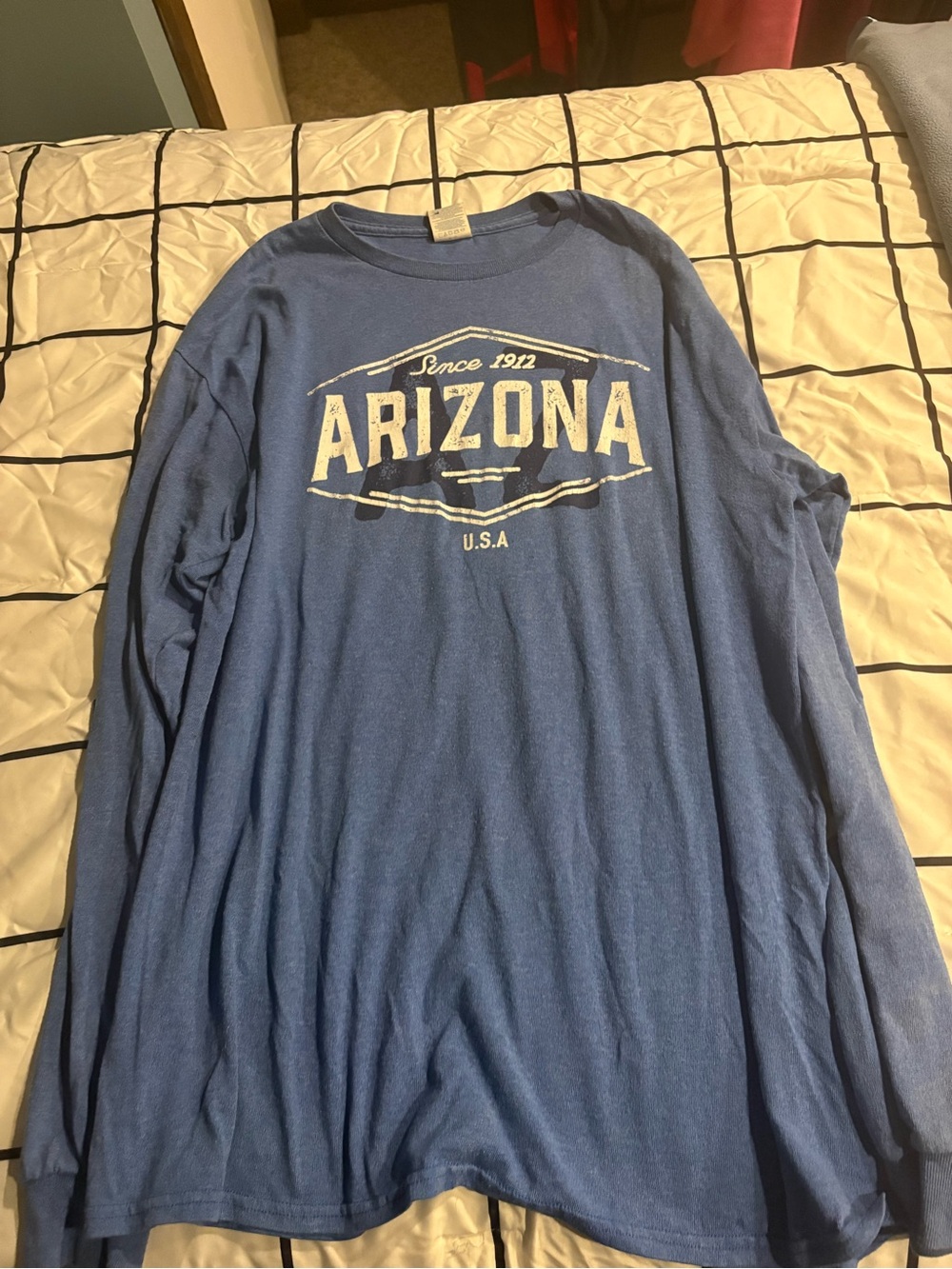 Arizona Long Sleeve Graphic Shirt - Blue